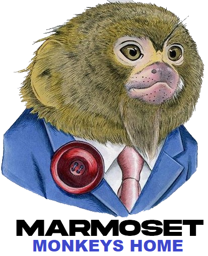 MARMOSET MONKEYS HOME